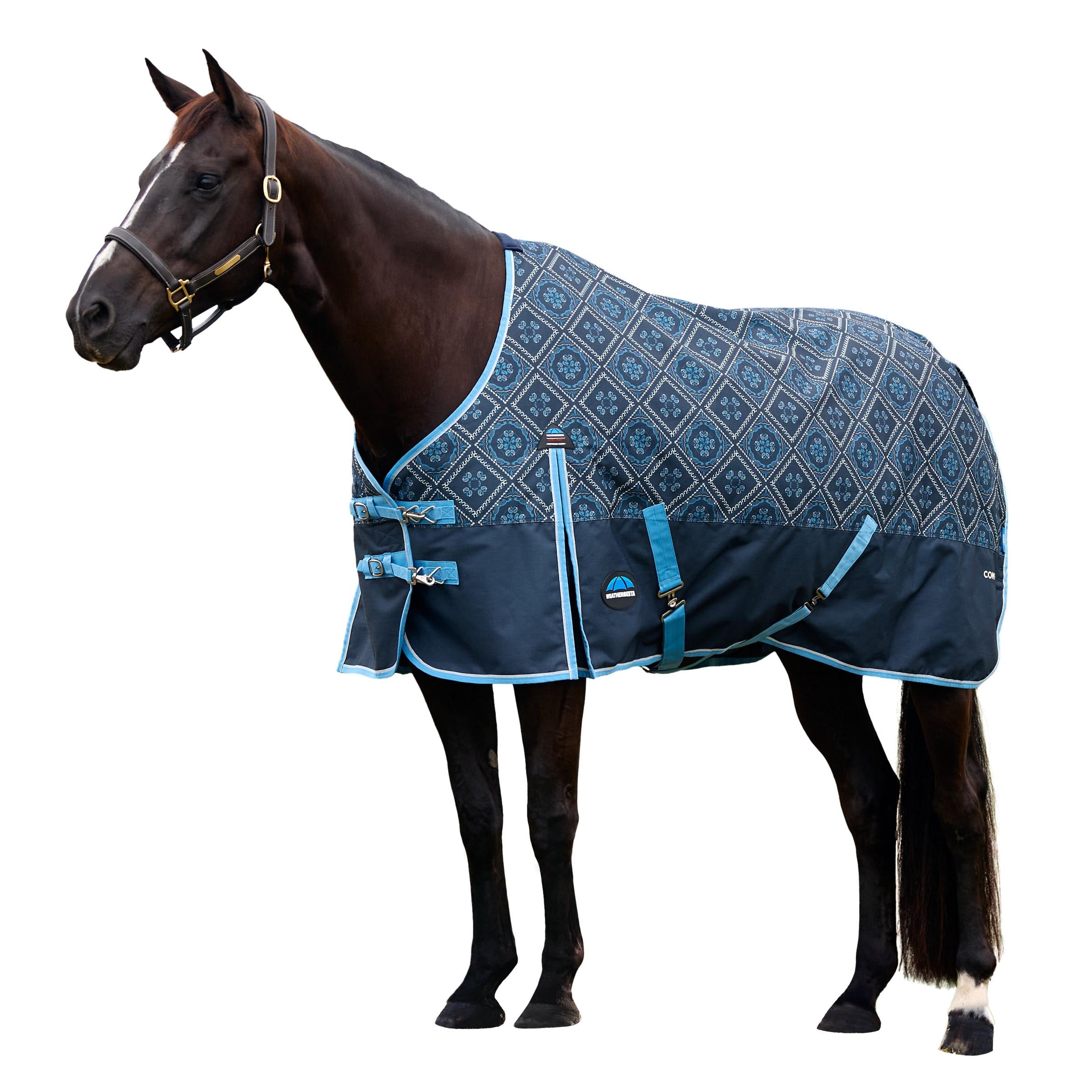 image_addtnl_1 - Paisley Print - WeatherBeeta ComFiTec Heritage Turnout 100G - .jpg