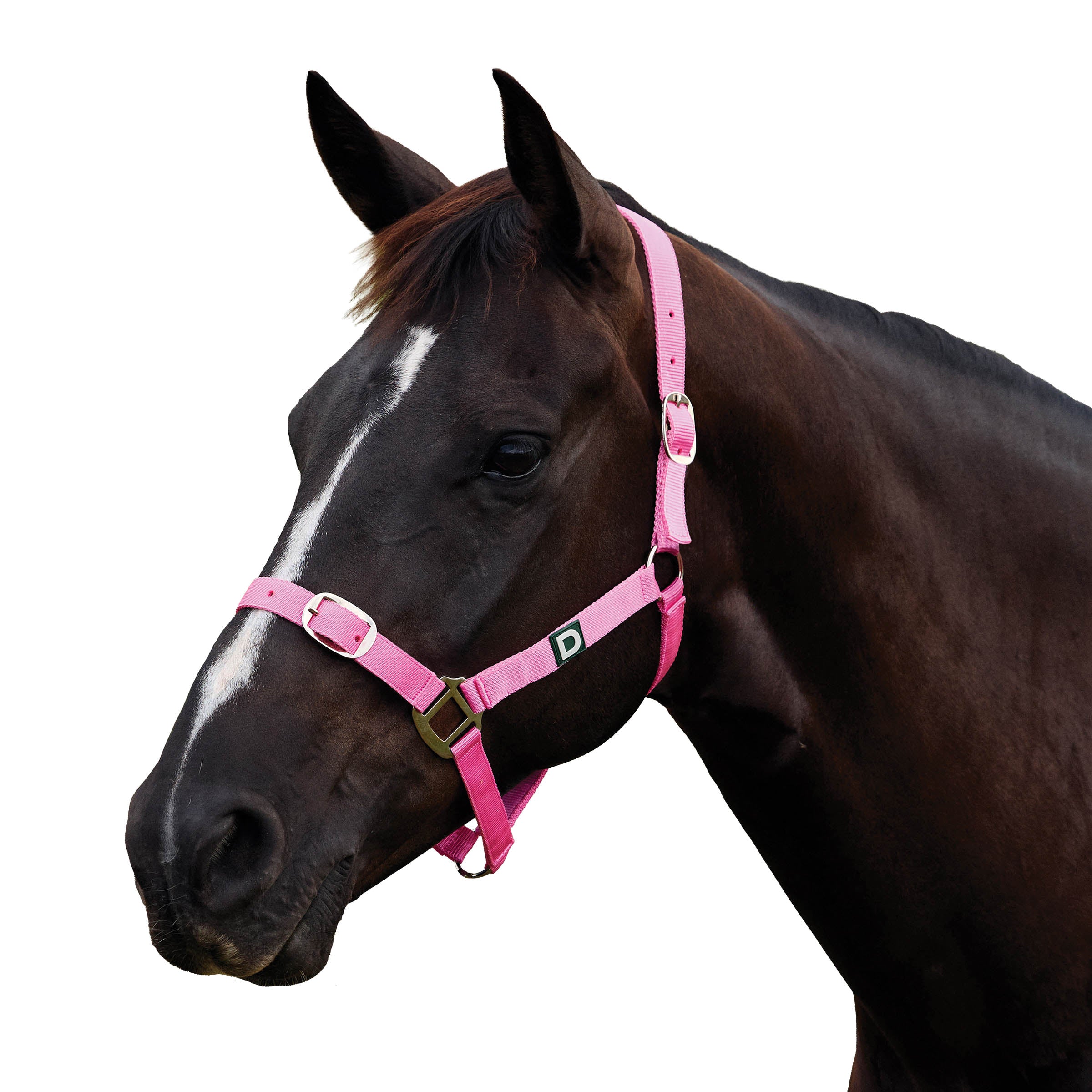 image_addtnl_1 - Pink - Dublin Everyday Breakaway Halter - .jpg