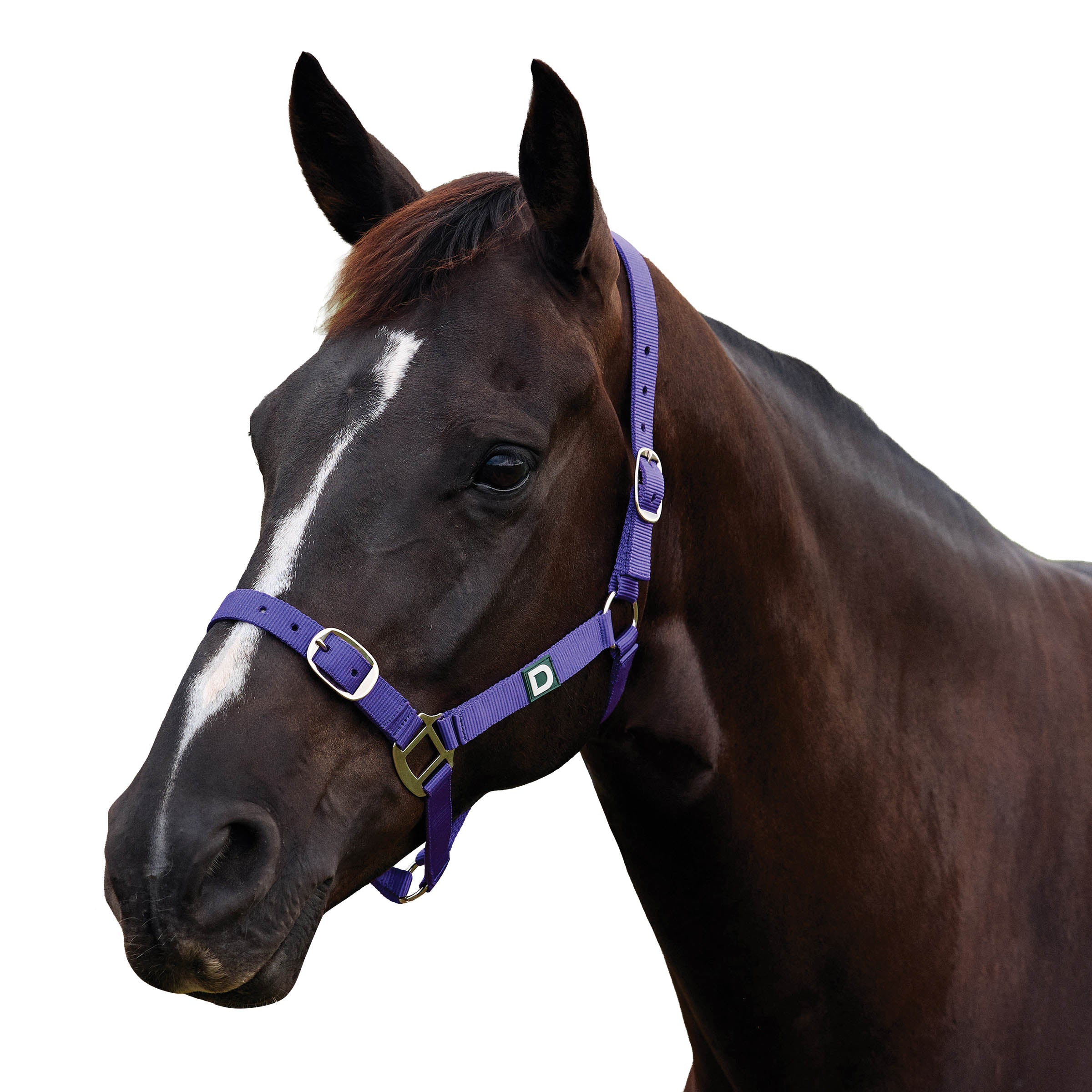 image_addtnl_1 - Purple - Dublin Everyday Breakaway Halter - .jpg