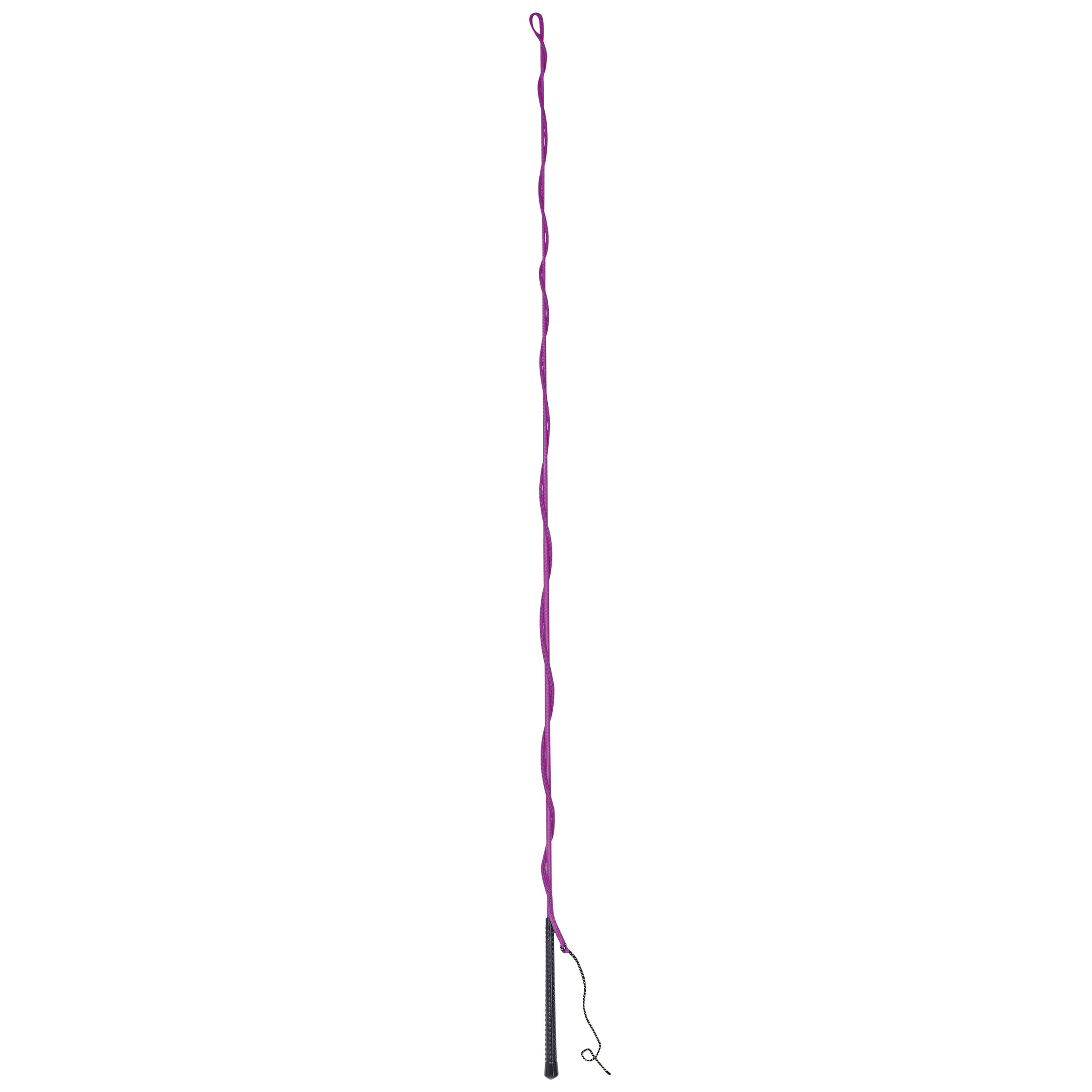 image_addtnl_1 - Purple - Dublin Lunge Whip - .jpg