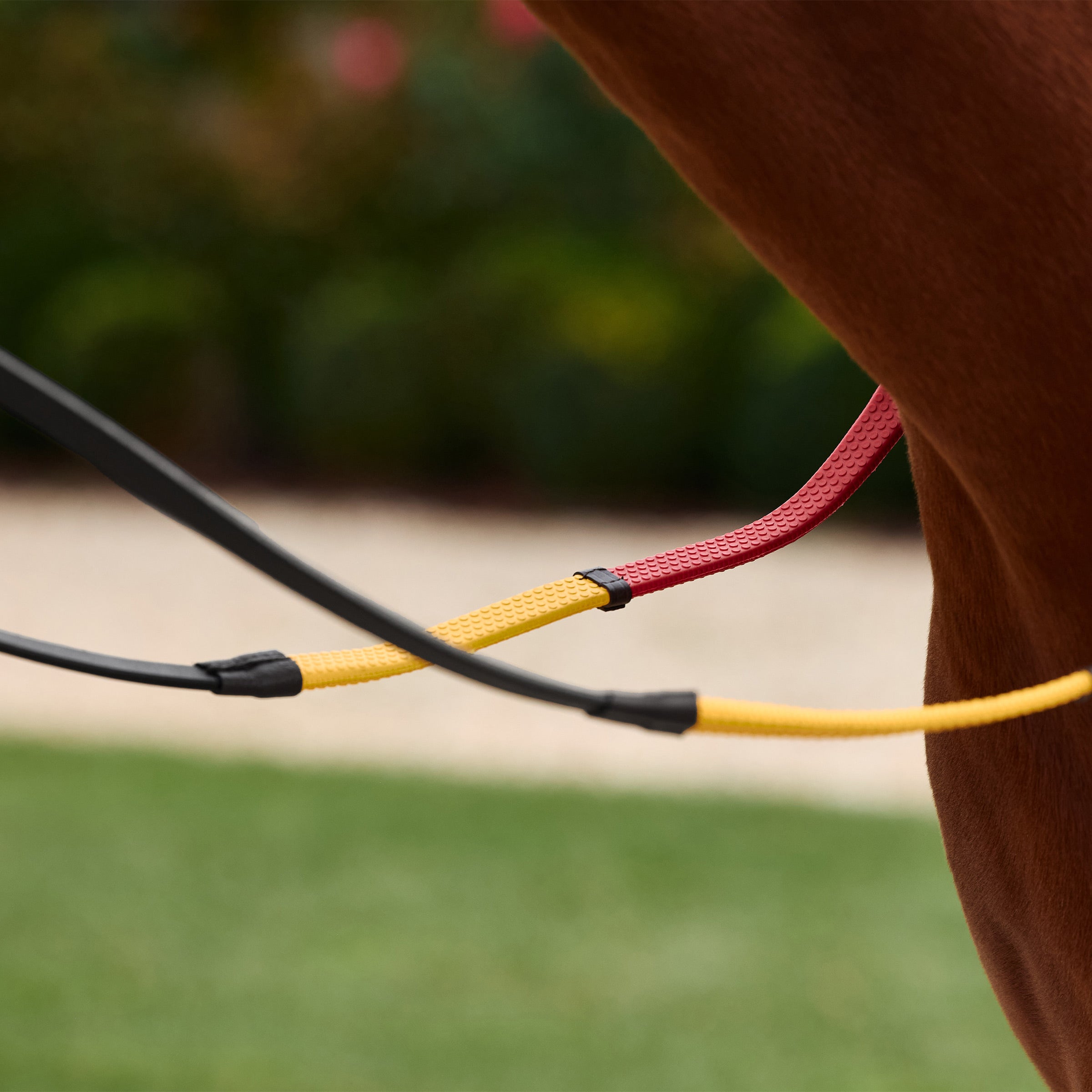 image_addtnl_2 - Black/Multi - Dublin Rainbow Reins - .jpg