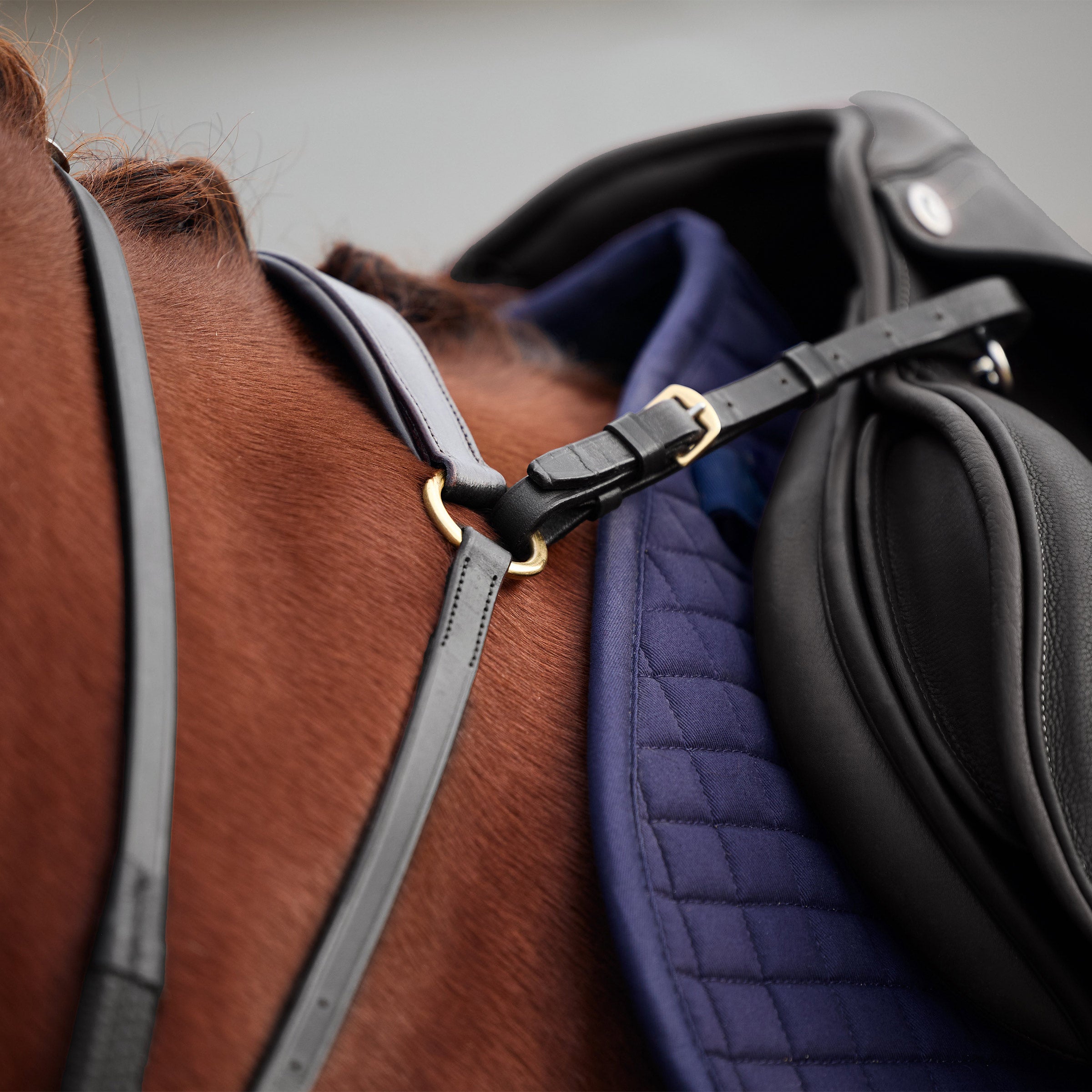 image_addtnl_2 - Black - Dublin 3-Point Breastplate - .jpg