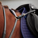 image_addtnl_2 - Black - Dublin 3-Point Breastplate - .jpg