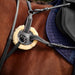 image_addtnl_2 - Black - Dublin 5-Point Event Breastplate - .jpg