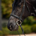 image_addtnl_2 - Black - Dublin Padded Cavesson Bridle - .jpg