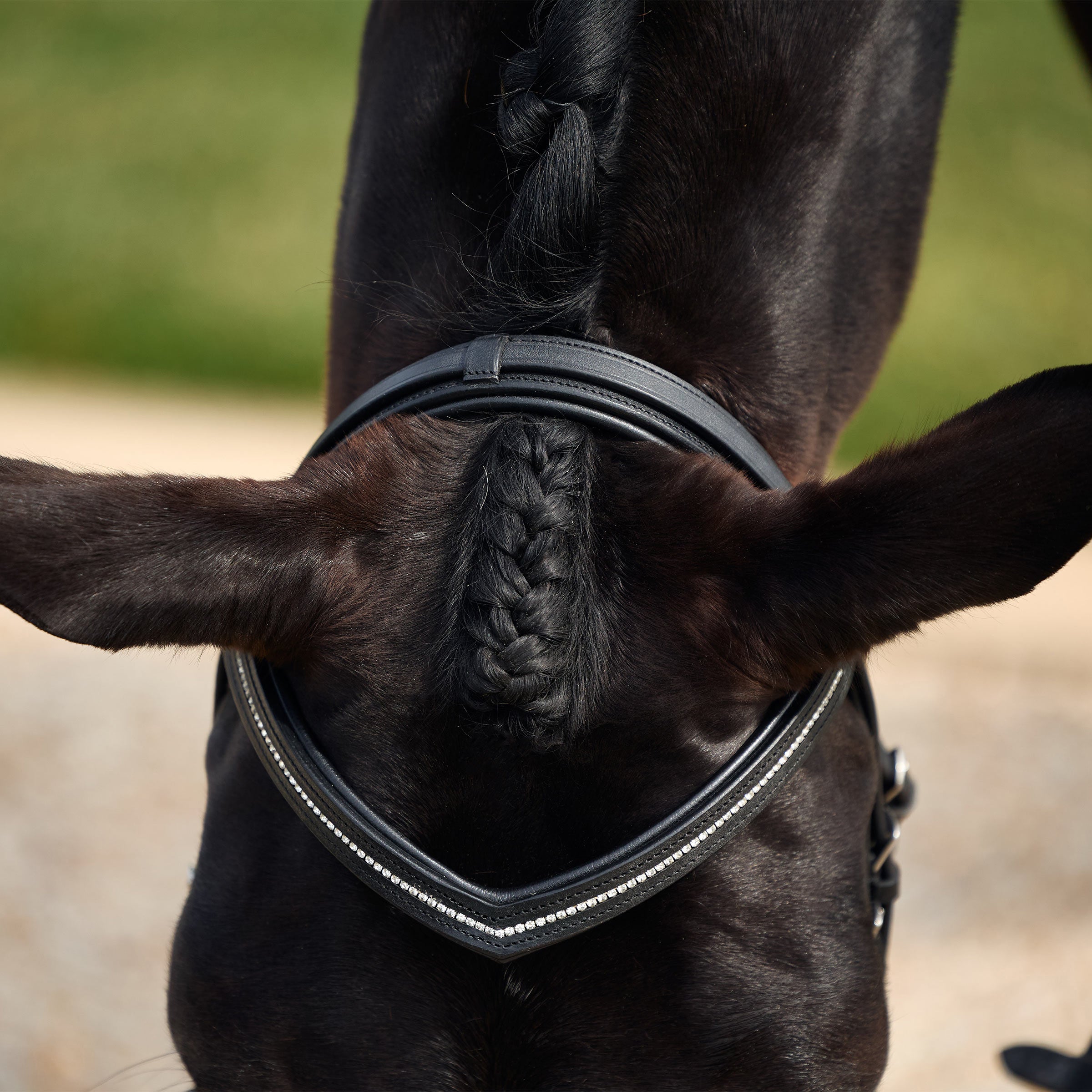 image_addtnl_2 - Black - Dublin Padded Comfort Crown Crystal Flash Bridle - .jpg