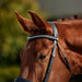 image_addtnl_2 - Black - Dublin Padded Comfort Crown Patent Flash Bridle - .jpg