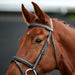 image_addtnl_2 - Black - Dublin Padded Flash Bridle - .jpg