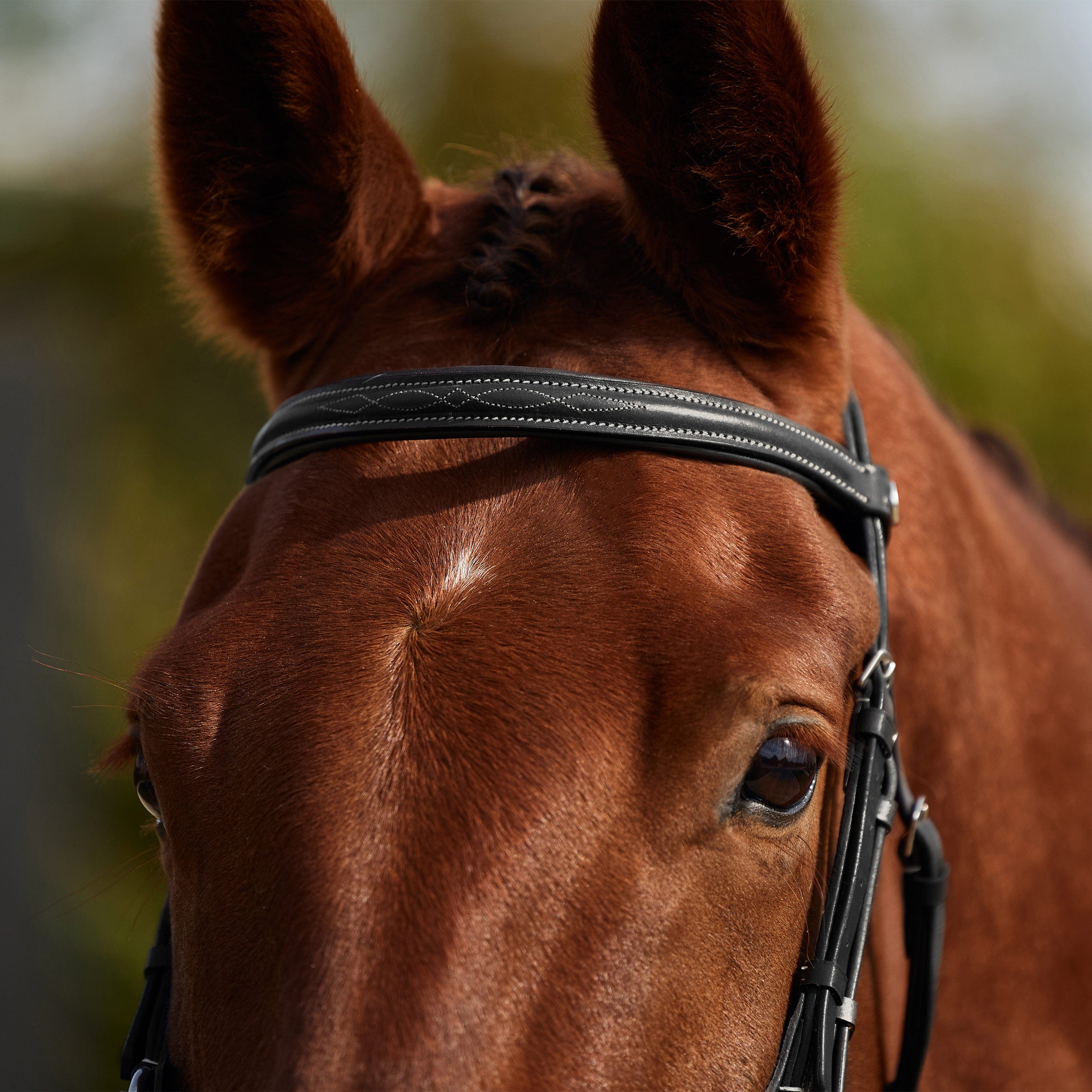 image_addtnl_2 - Black - Dublin Padded Mono Crown Fancy Stitch Grackle Bridle - .jpg