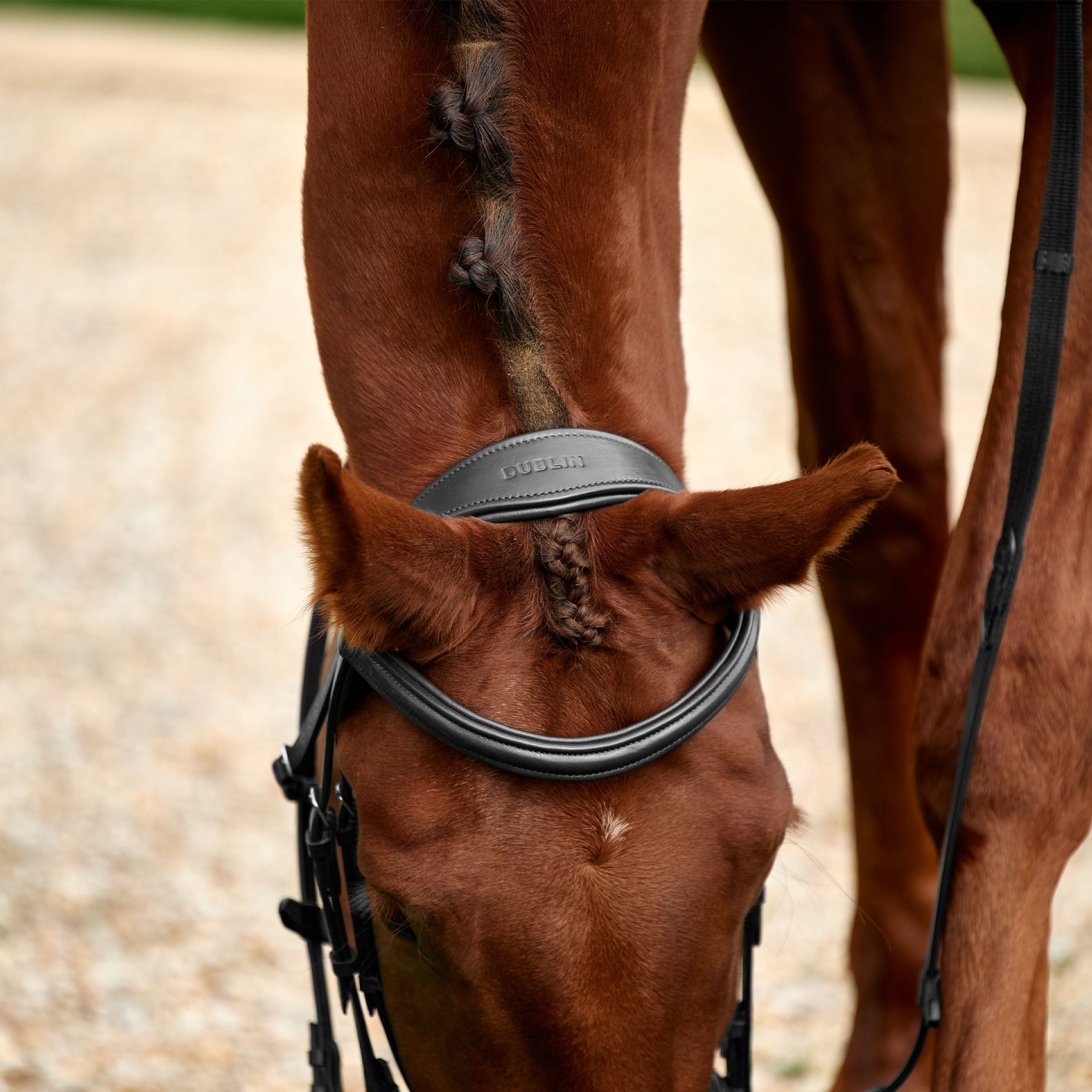 image_addtnl_2 - Black - Dublin Padded Mono Crown Flash Bridle - .jpg