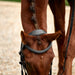 image_addtnl_2 - Black - Dublin Padded Mono Crown Flash Bridle - .jpg