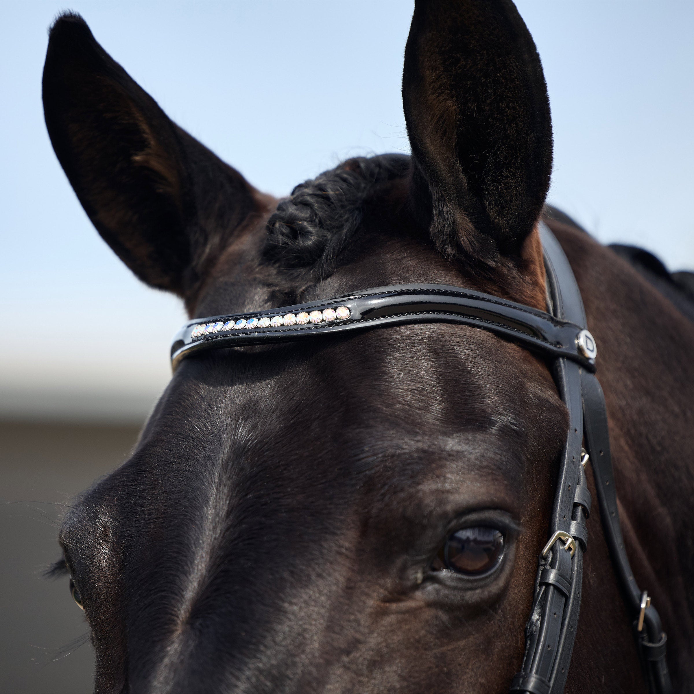 image_addtnl_2 - Black - Dublin Padded Mono Crown Patent Flash Bridle - .jpg