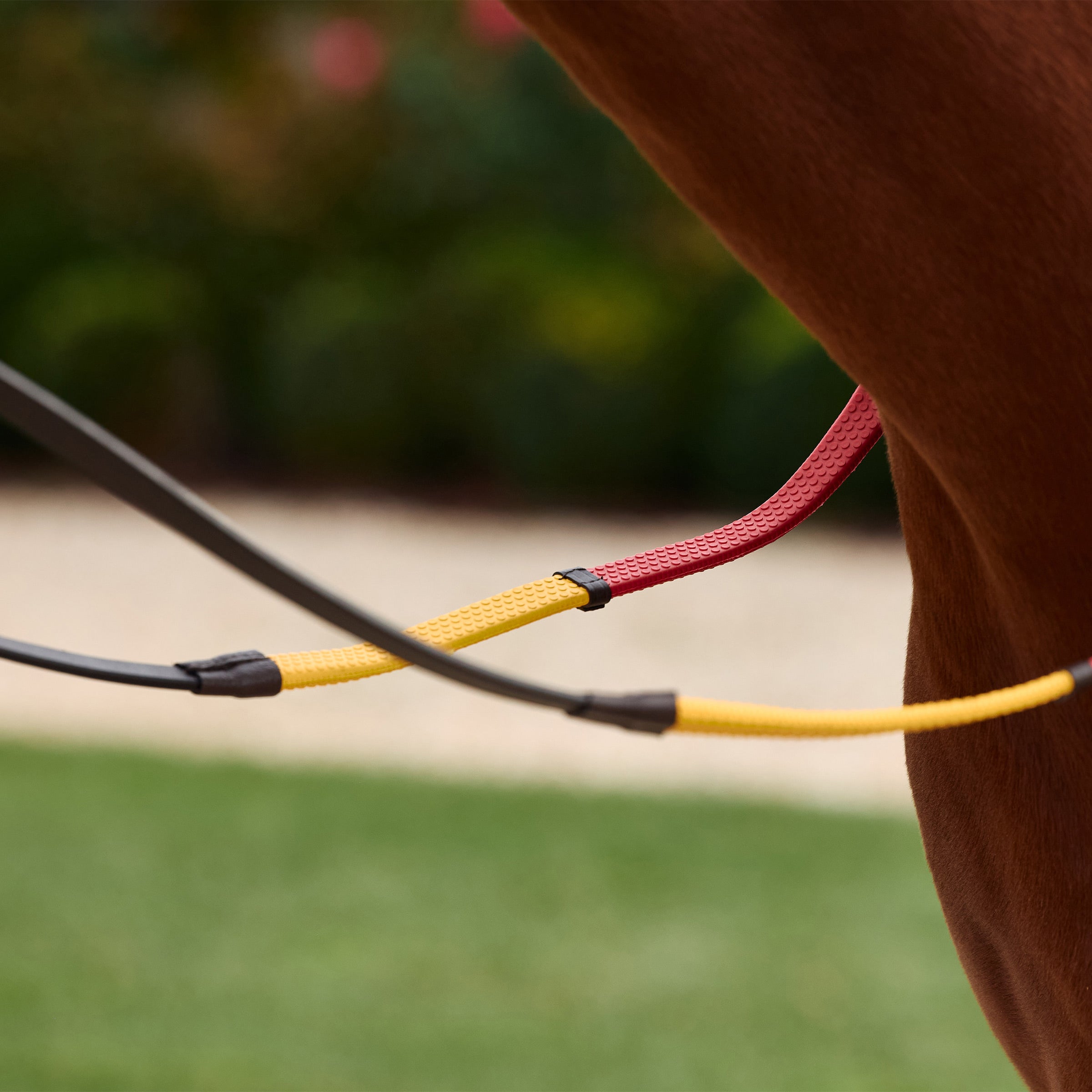 image_addtnl_2 - Brown/Multi - Dublin Rainbow Reins - .jpg