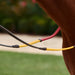 image_addtnl_2 - Brown/Multi - Dublin Rainbow Reins - .jpg