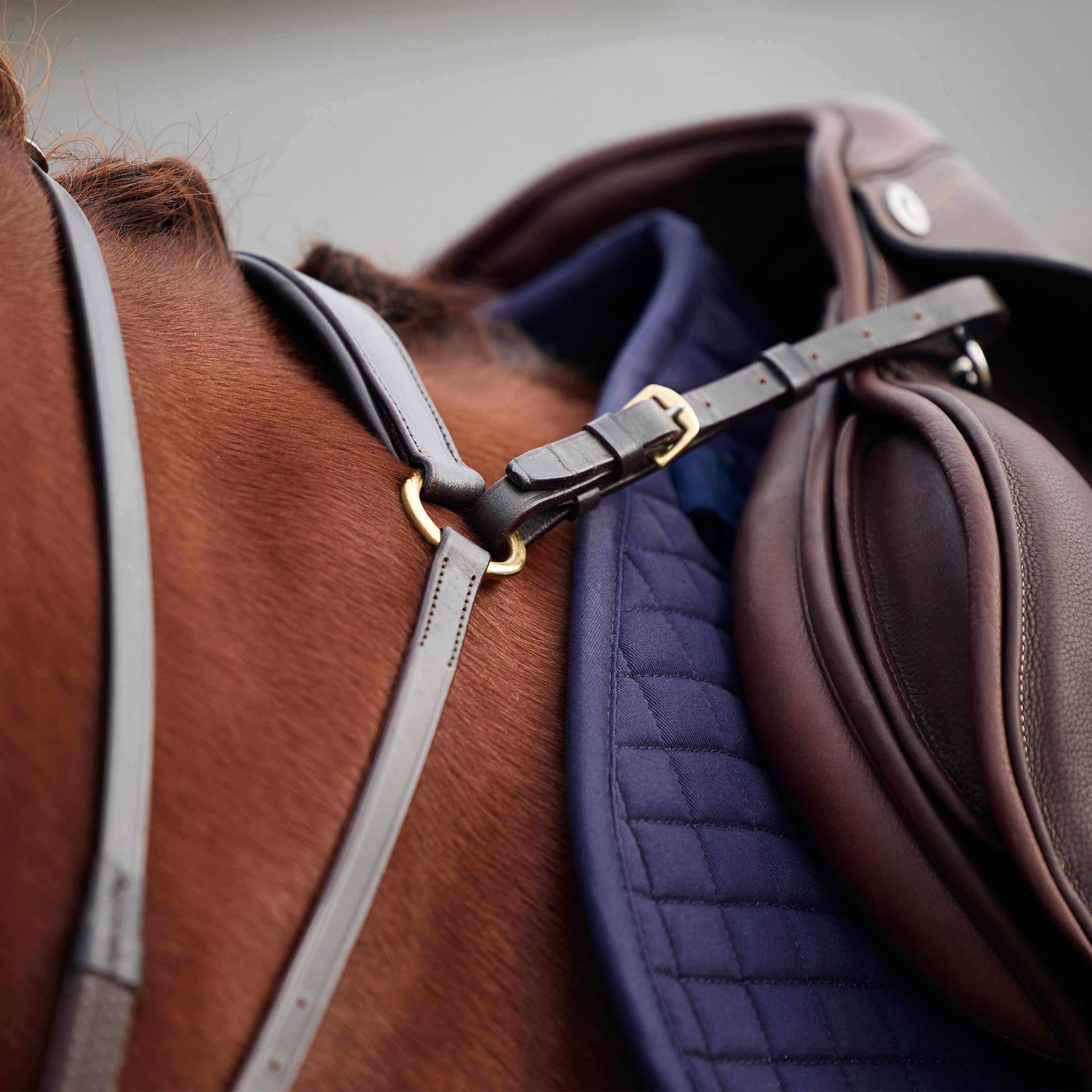 image_addtnl_2 - Brown - Dublin 3-Point Breastplate - .jpg