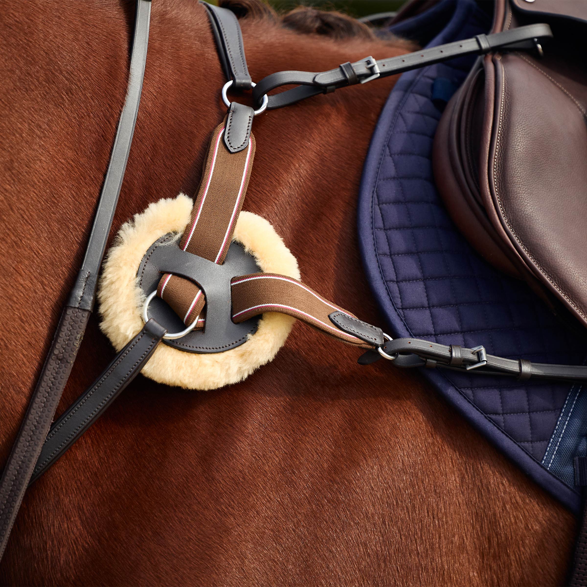 image_addtnl_2 - Brown - Dublin 5-Point Event Breastplate - .jpg