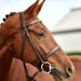 image_addtnl_2 - Brown - Dublin Flat Cavesson Bridle - .jpg