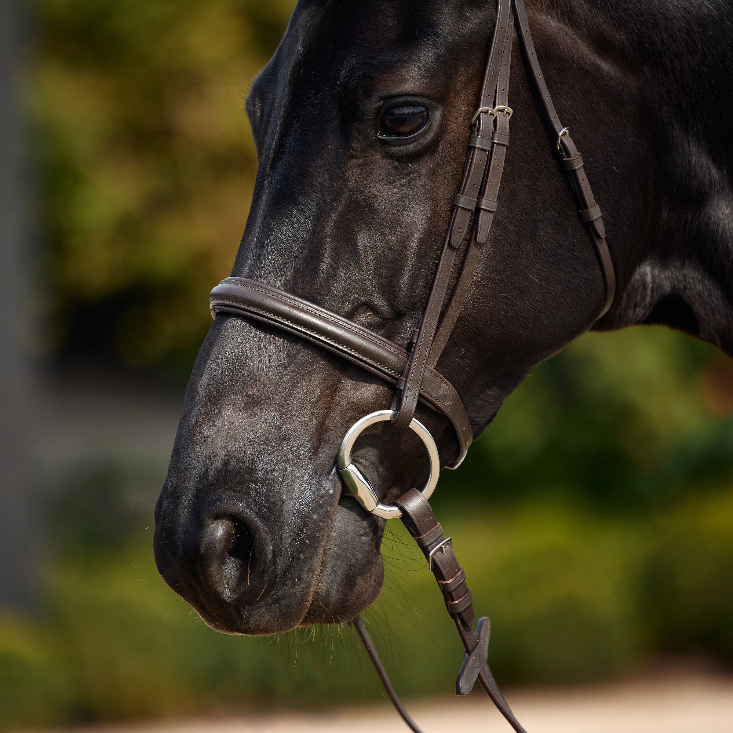 image_addtnl_2 - Brown - Dublin Padded Cavesson Bridle - .jpg