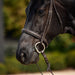 image_addtnl_2 - Brown - Dublin Padded Cavesson Bridle - .jpg