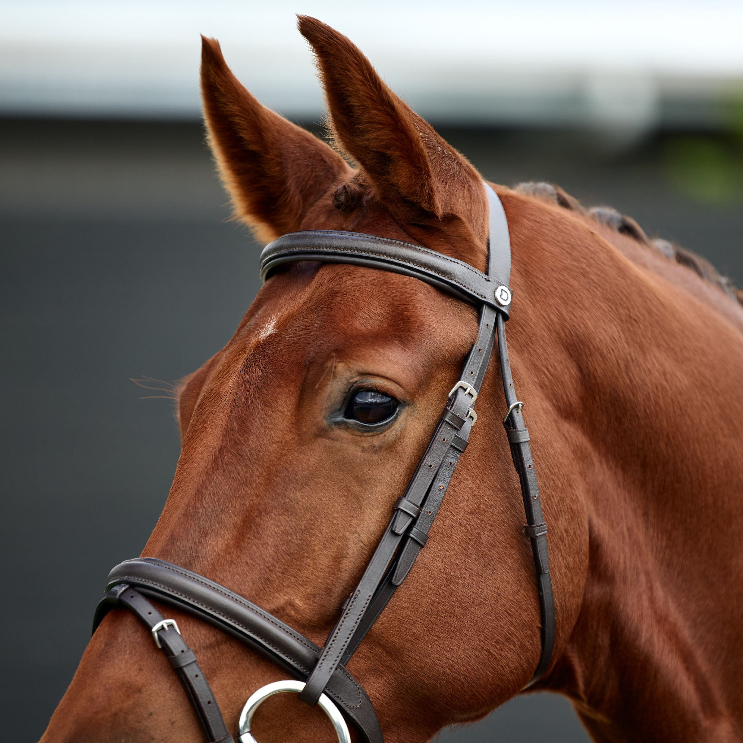 image_addtnl_2 - Brown - Dublin Padded Flash Bridle - .jpg