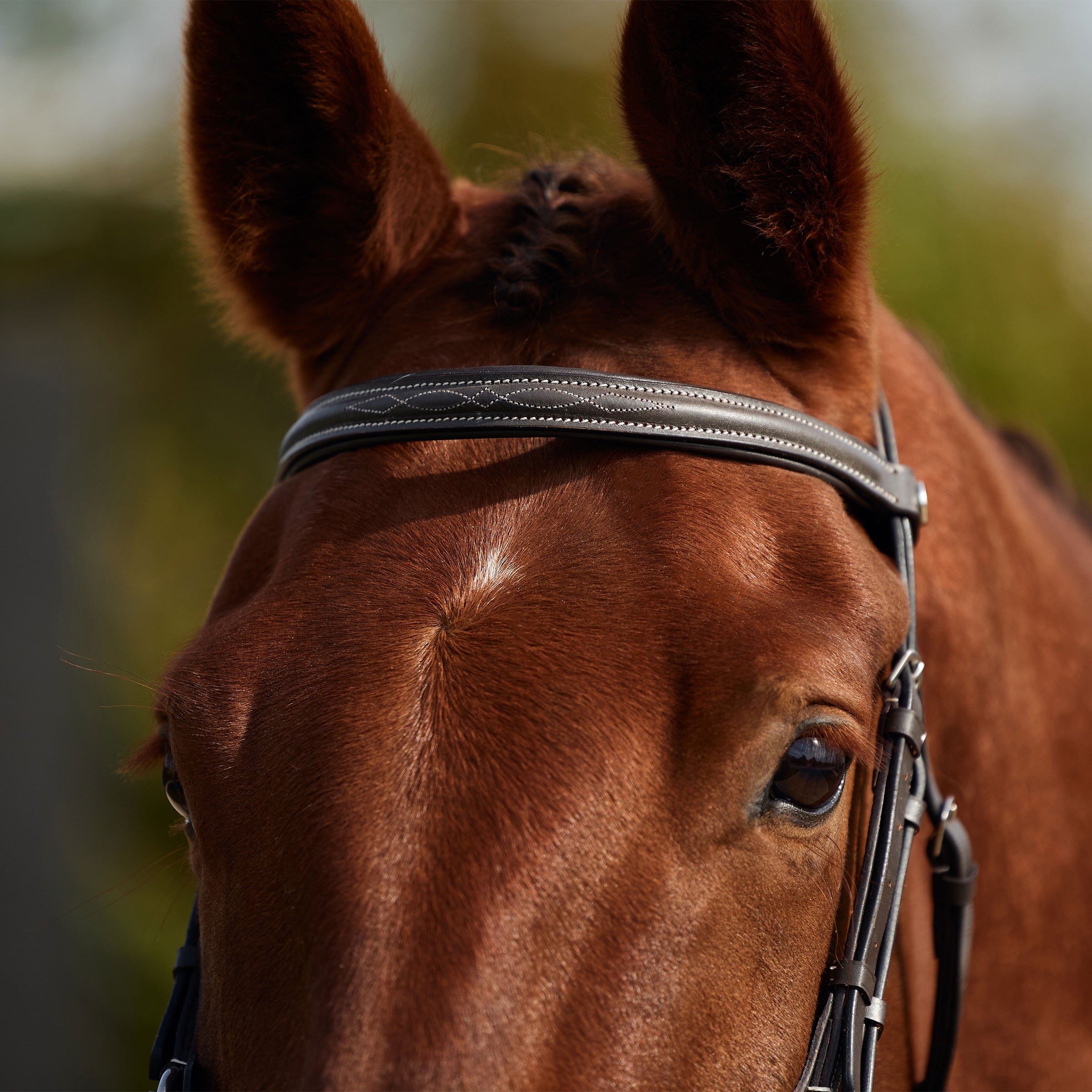 image_addtnl_2 - Brown - Dublin Padded Mono Crown Fancy Stitch Grackle Bridle - .jpg