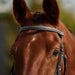 image_addtnl_2 - Brown - Dublin Padded Mono Crown Fancy Stitch Grackle Bridle - .jpg