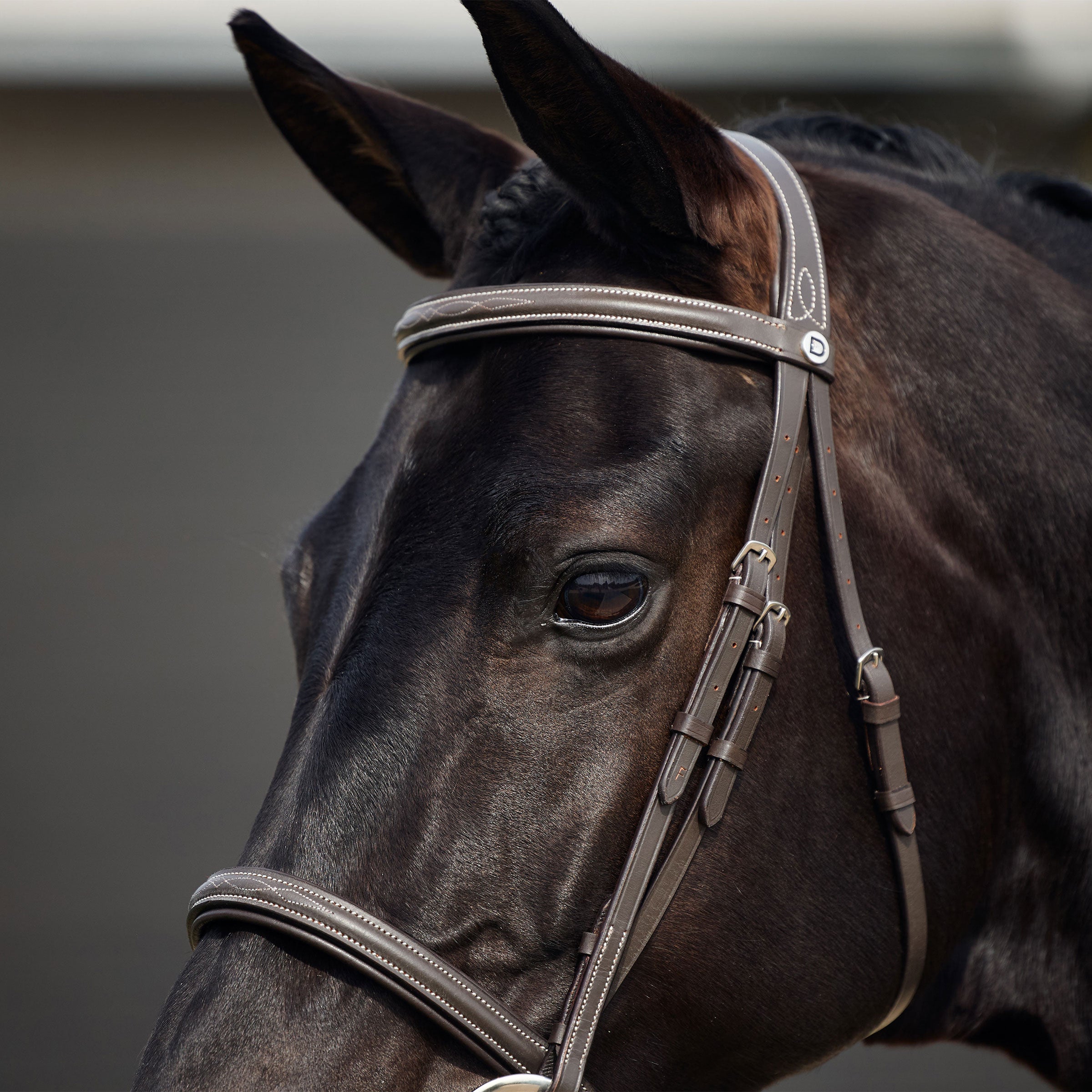image_addtnl_2 - Brown - Dublin Padded Mono Crown Fancy Stitch Hunt Bridle - .jpg
