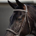 image_addtnl_2 - Brown - Dublin Padded Mono Crown Fancy Stitch Hunt Bridle - .jpg