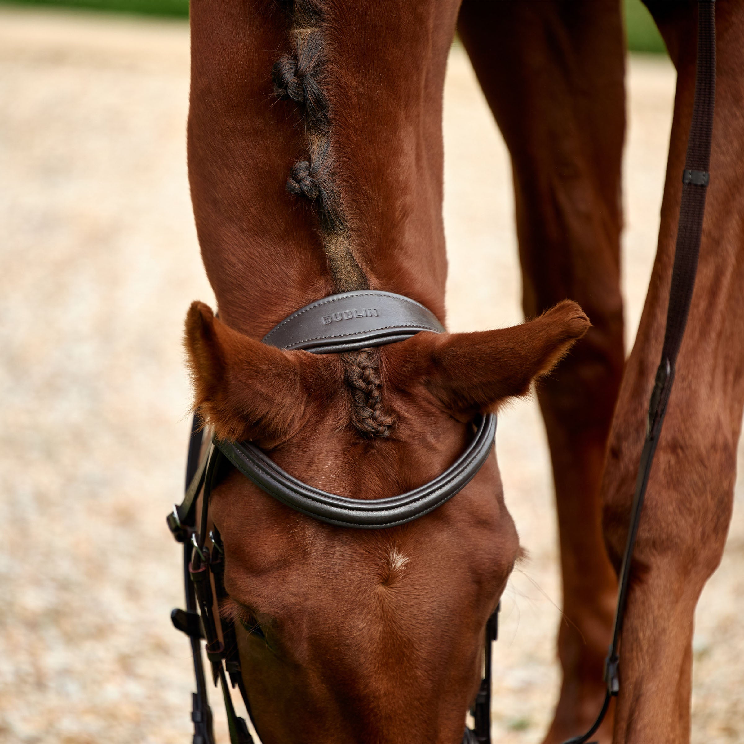 image_addtnl_2 - Brown - Dublin Padded Mono Crown Flash Bridle - .jpg