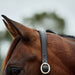 image_addtnl_2 - Burgundy/Brown - Dublin Leather Rope Halter - .jpg