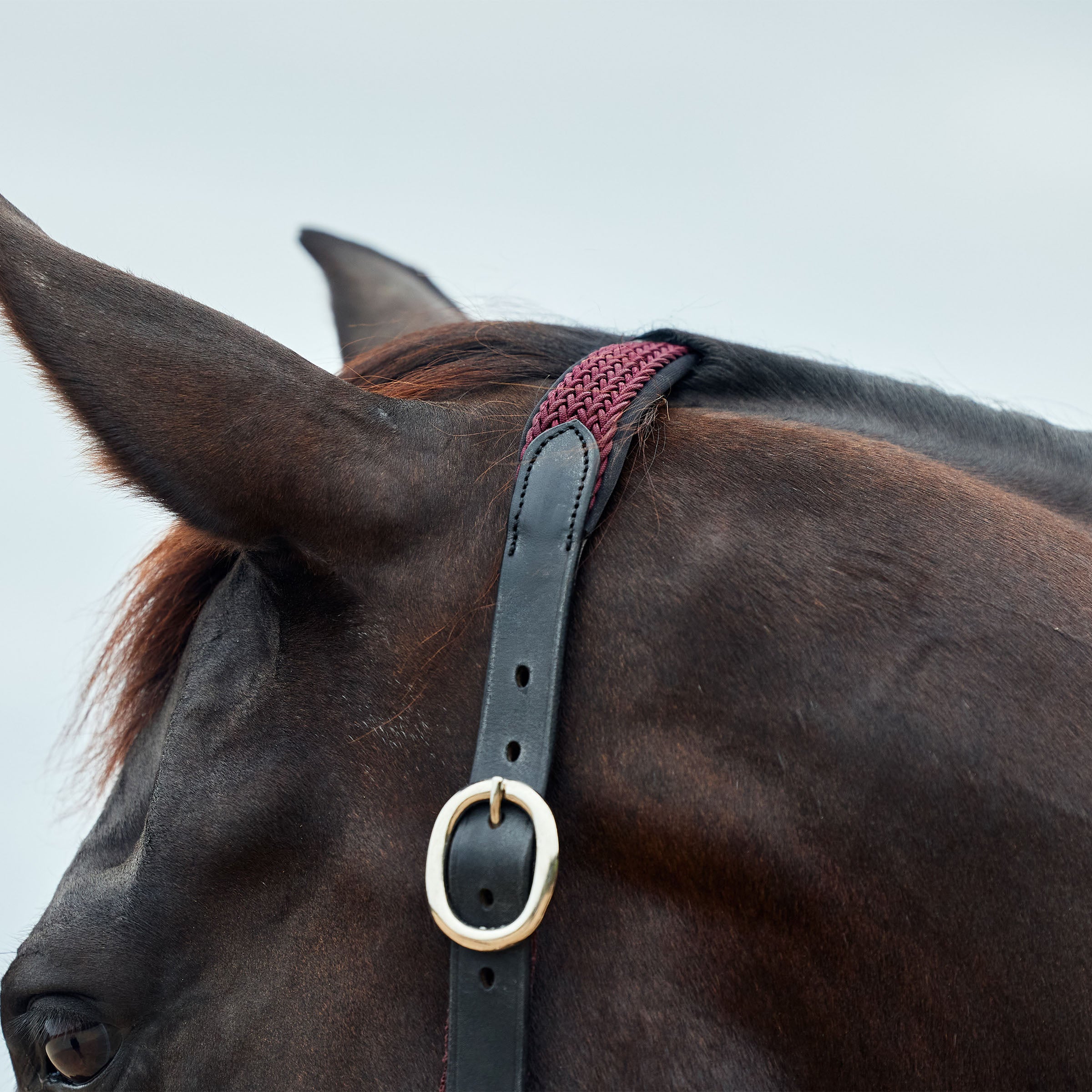 image_addtnl_2 - Burgundy - Dublin Braided Leather Halter - .jpg