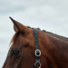 image_addtnl_2 - Charcoal - Dublin Braided Leather Halter - .jpg