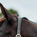 image_addtnl_2 - Hunter Green/Brown - Dublin Leather Rope Halter - .jpg