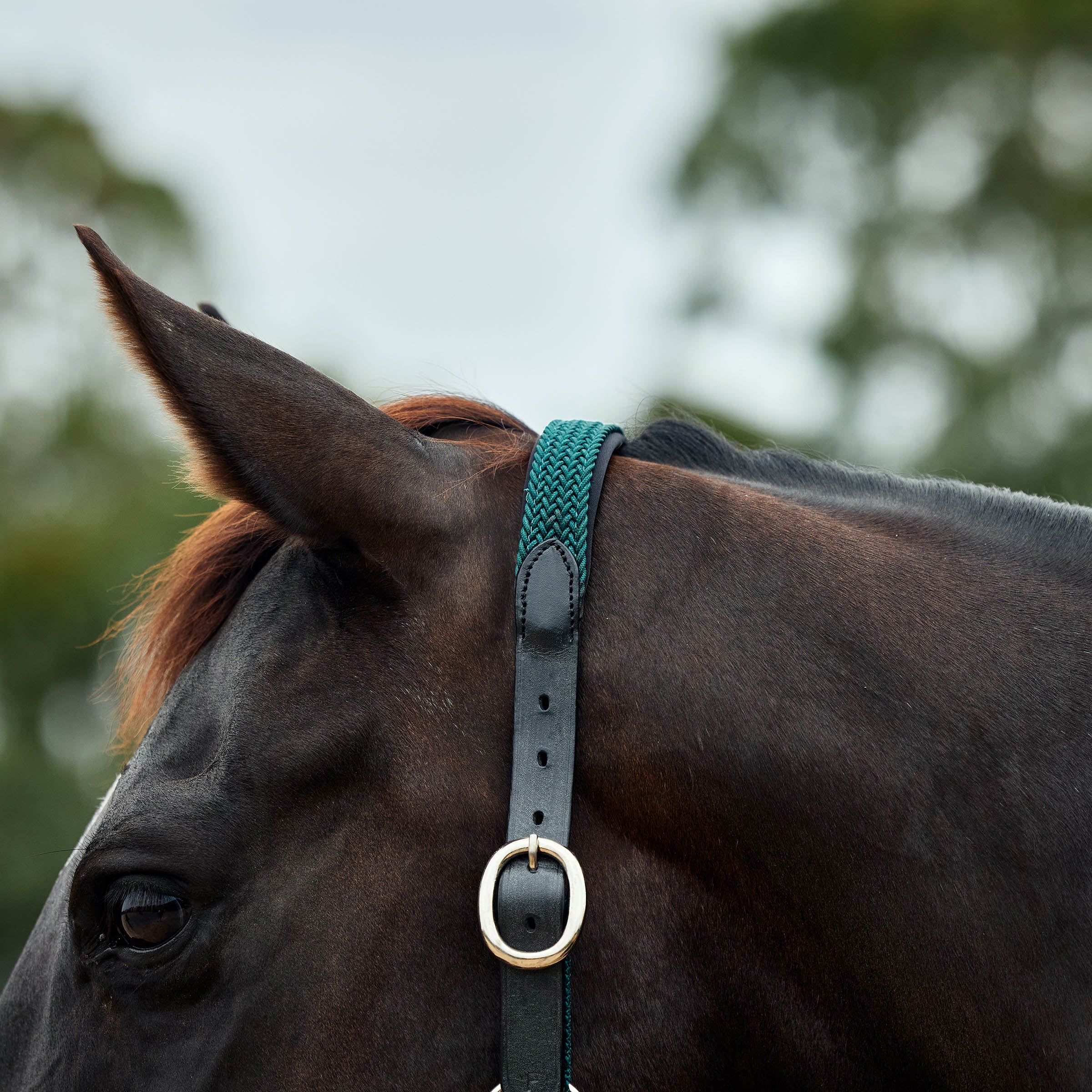 image_addtnl_2 - Hunter Green - Dublin Braided Leather Halter - .jpg