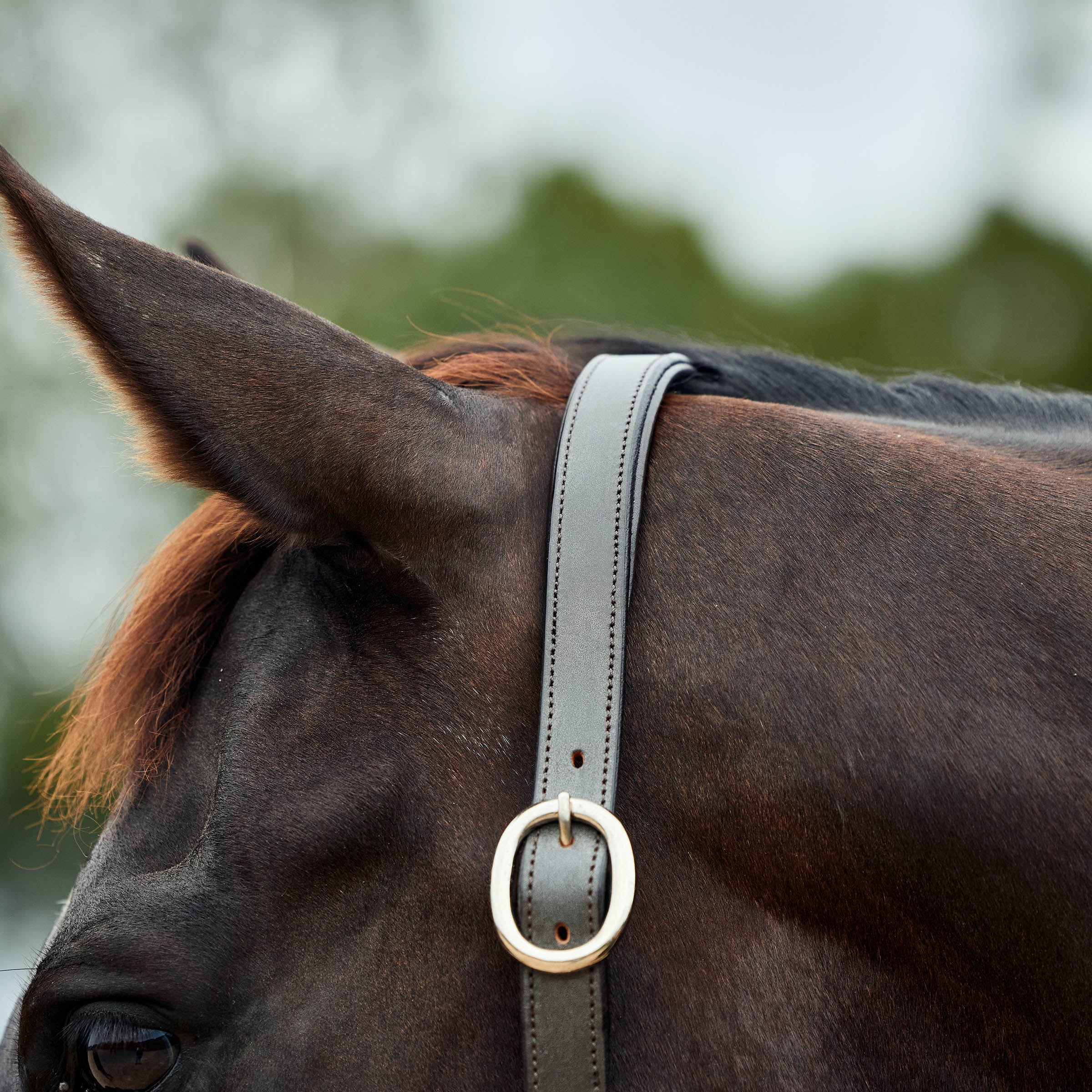 image_addtnl_2 - Navy/Brown - Dublin Leather Rope Halter - .jpg
