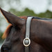 image_addtnl_2 - Navy/Brown - Dublin Leather Rope Halter - .jpg