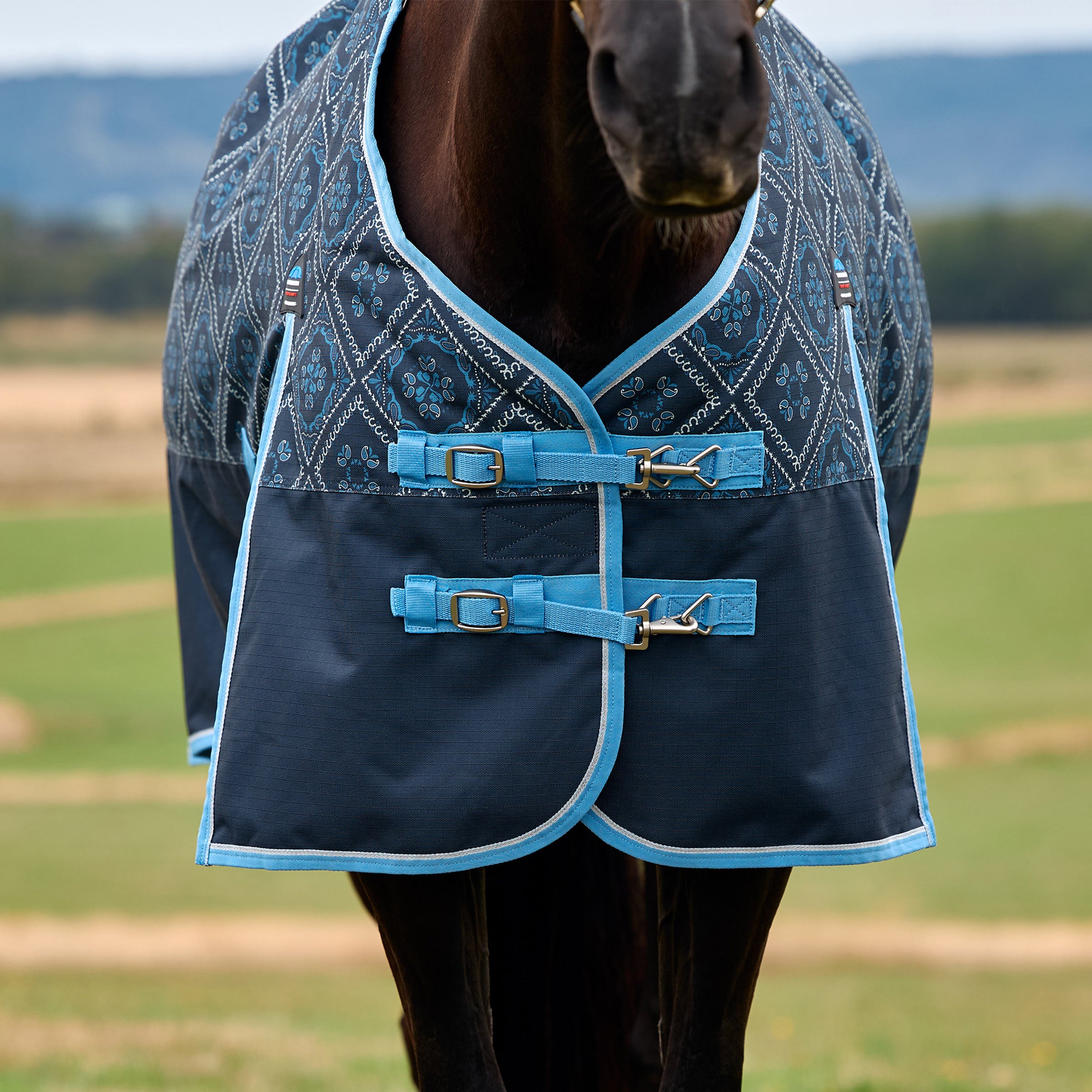 image_addtnl_2 - Paisley Print - WeatherBeeta ComFiTec Heritage Turnout 100G - .jpg