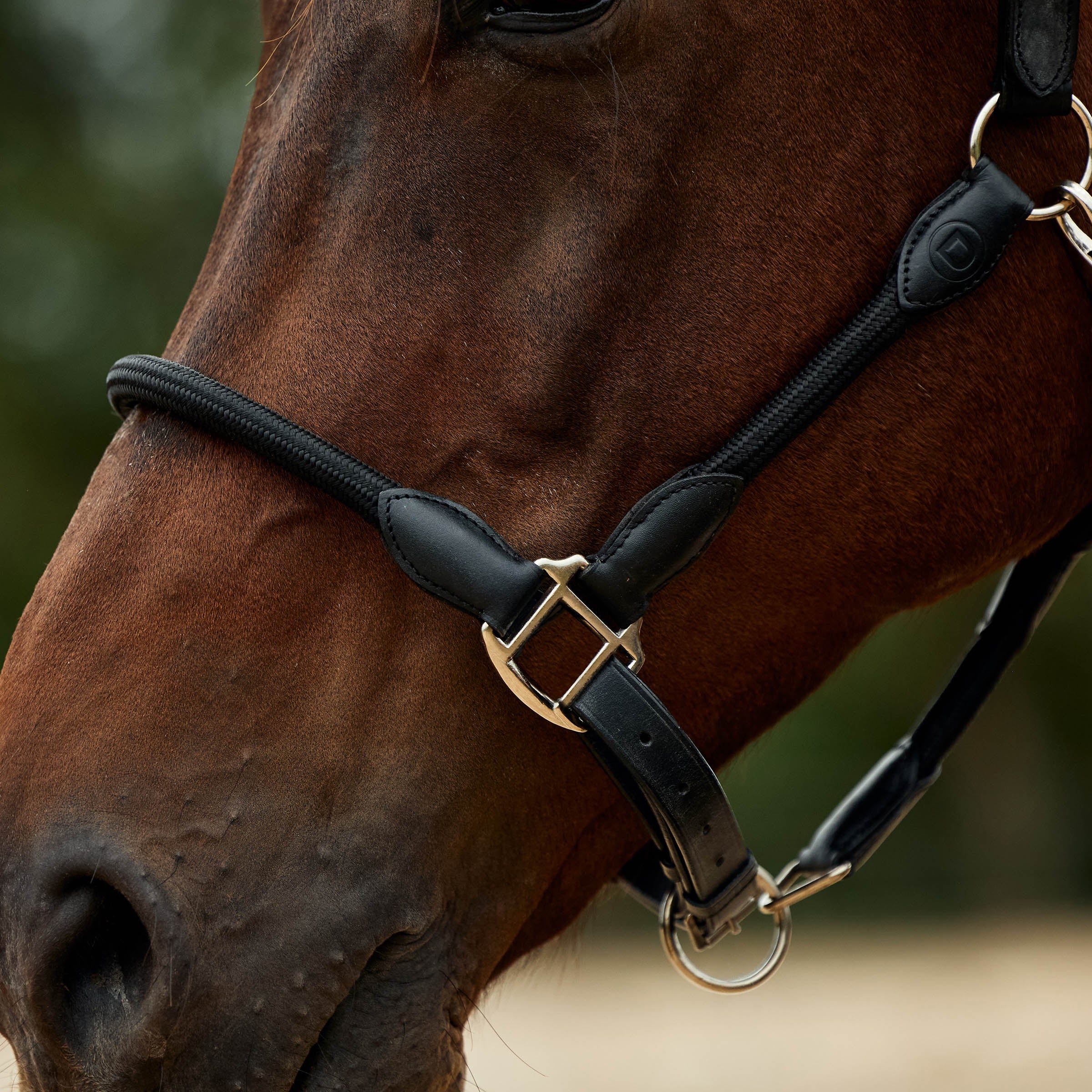 image_addtnl_3 - Black/Black - Dublin Leather Rope Halter - .jpg