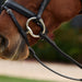 image_addtnl_3 - Black/Multi - Dublin Rainbow Reins - .jpg