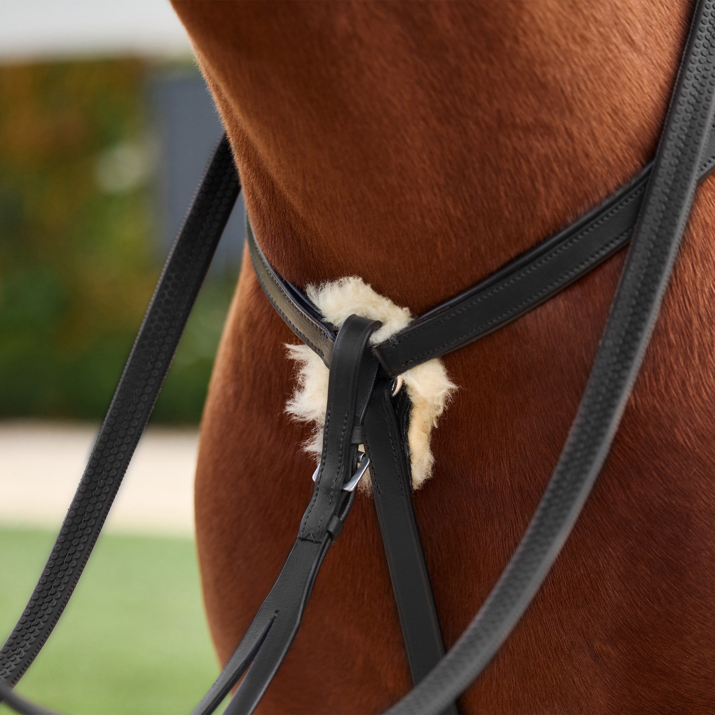 image_addtnl_3 - Black - Dublin 5-Point Event Breastplate - .jpg
