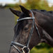 image_addtnl_3 - Black - Dublin Padded Comfort Crown Crystal Flash Bridle - .jpg