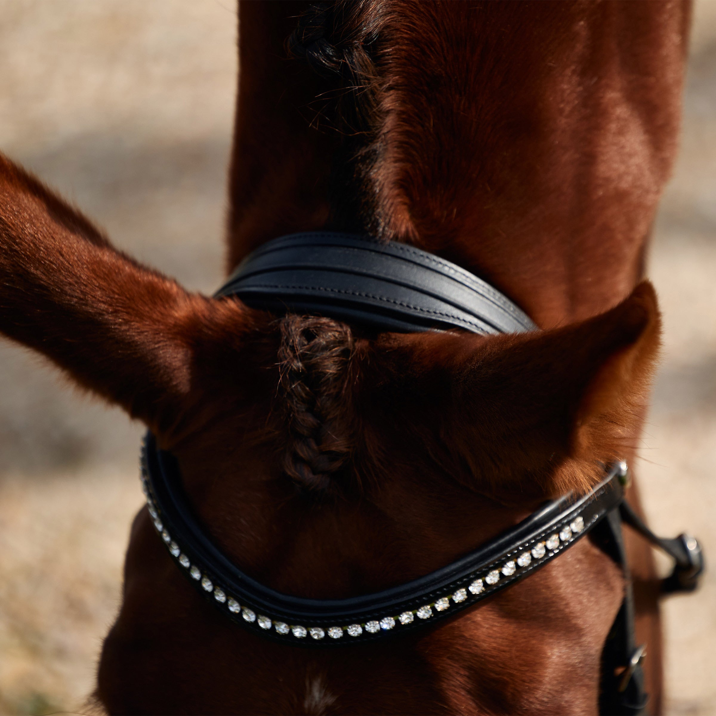 image_addtnl_3 - Black - Dublin Padded Comfort Crown Patent Flash Bridle - .jpg