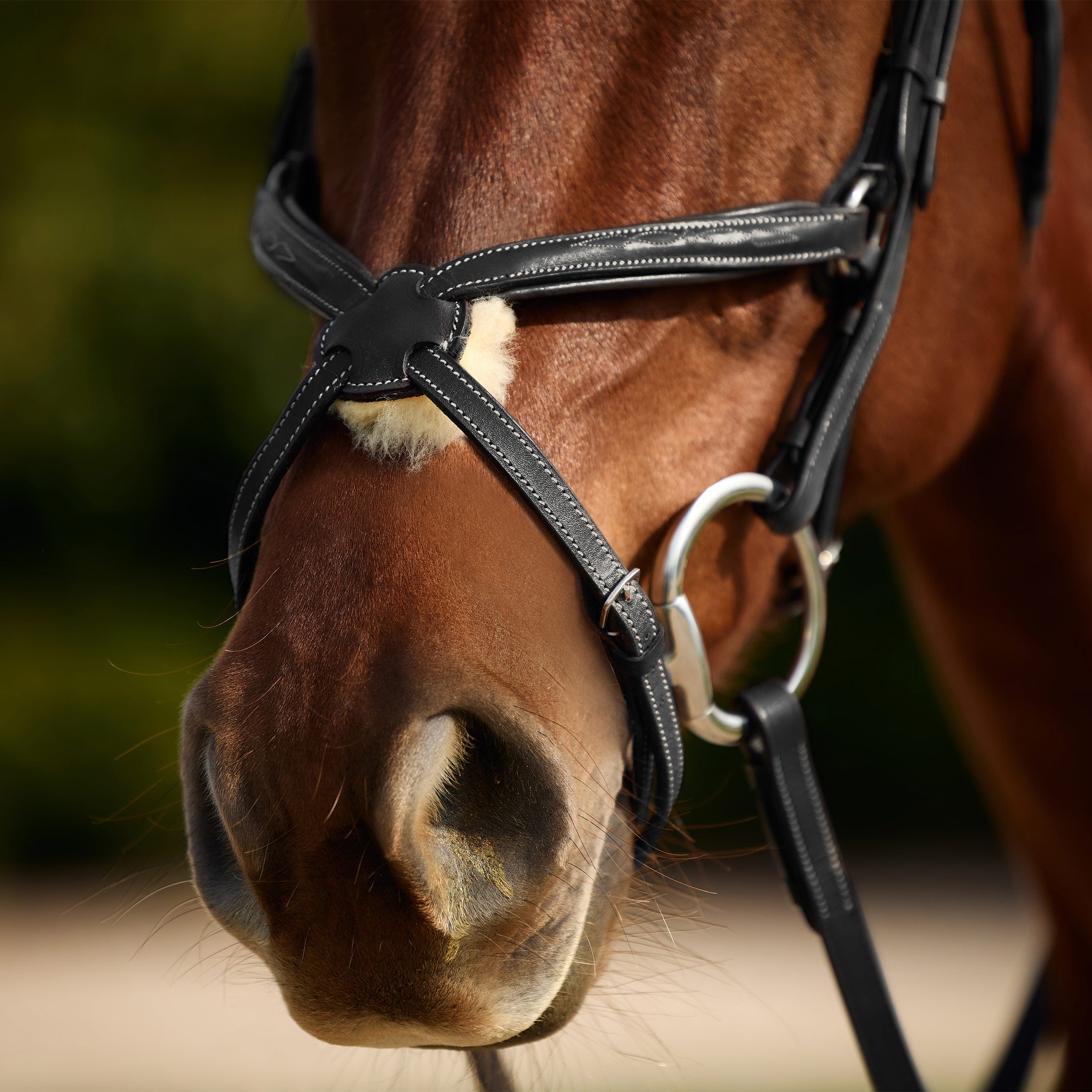 image_addtnl_3 - Black - Dublin Padded Mono Crown Fancy Stitch Grackle Bridle - .jpg
