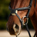 image_addtnl_3 - Black - Dublin Padded Mono Crown Fancy Stitch Grackle Bridle - .jpg