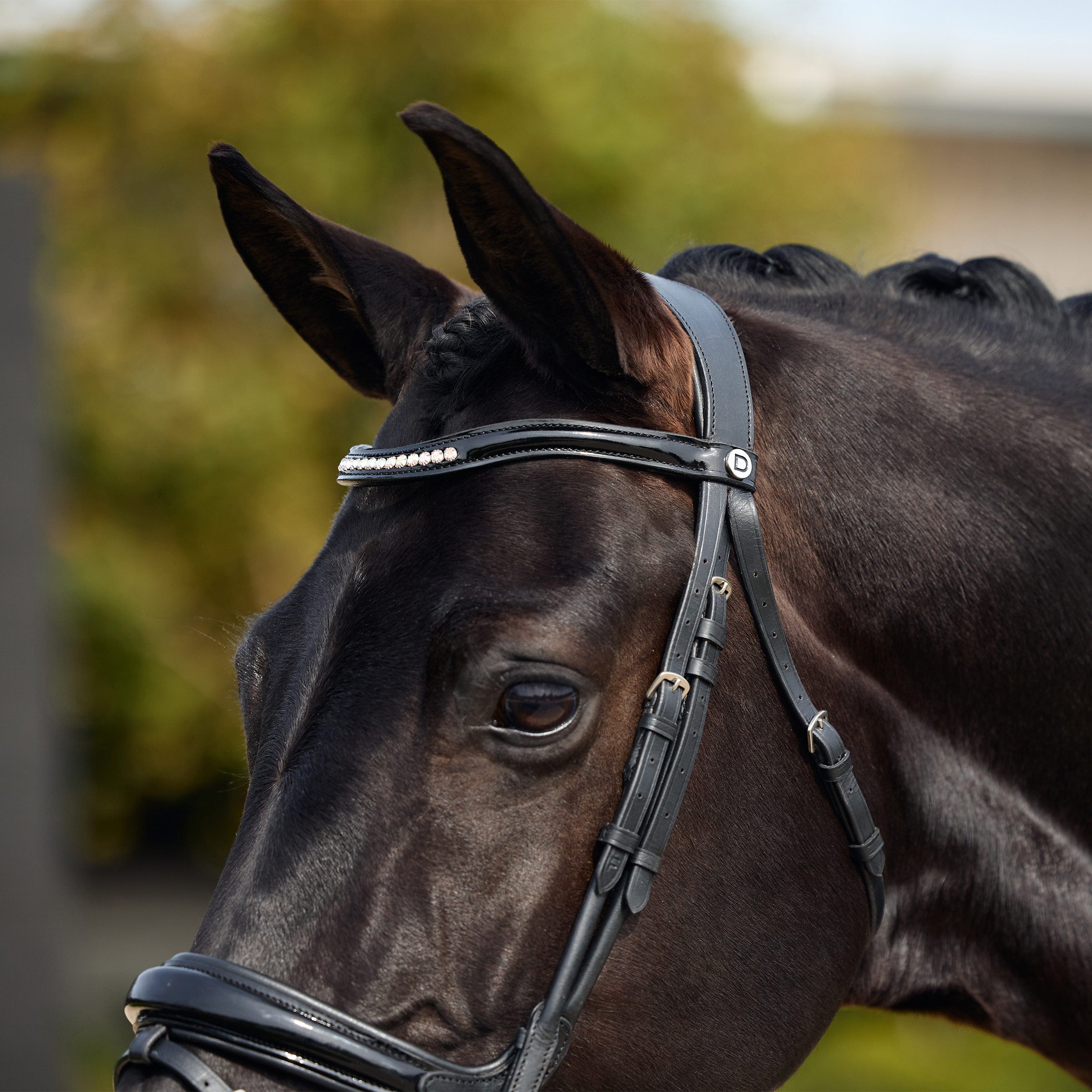 image_addtnl_3 - Black - Dublin Padded Mono Crown Patent Flash Bridle - .jpg