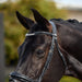 image_addtnl_3 - Black - Dublin Padded Mono Crown Patent Flash Bridle - .jpg