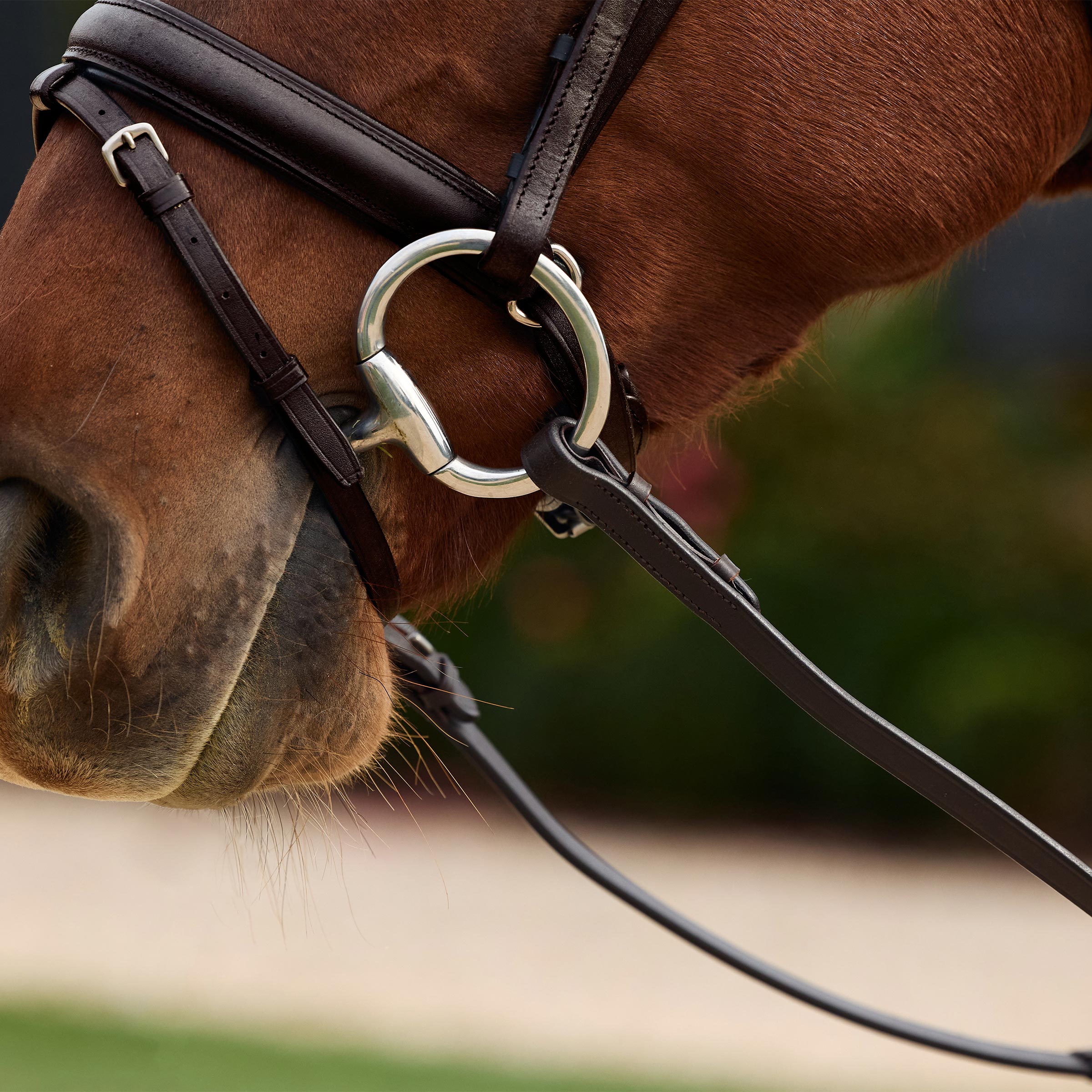 image_addtnl_3 - Brown/Multi - Dublin Rainbow Reins - .jpg