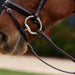 image_addtnl_3 - Brown/Multi - Dublin Rainbow Reins - .jpg