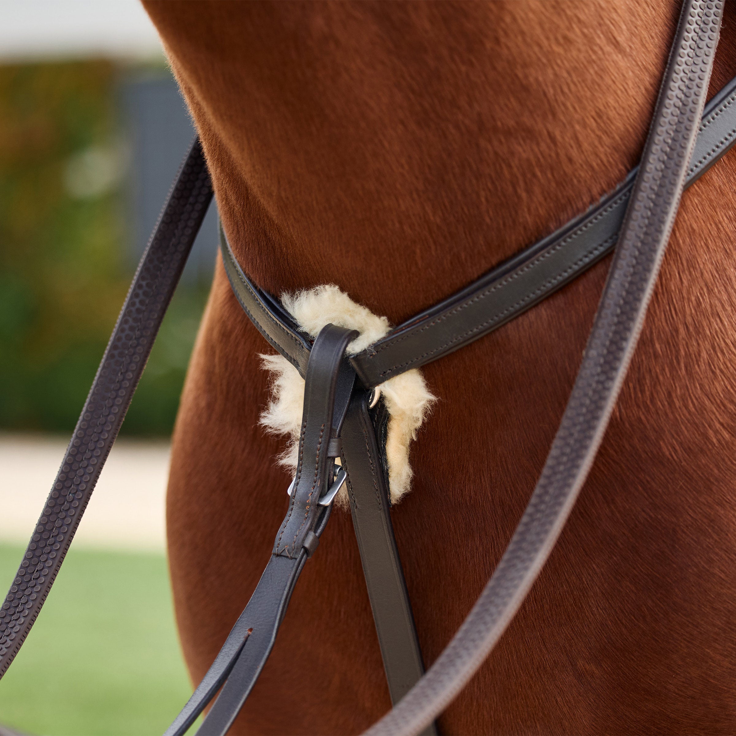 image_addtnl_3 - Brown - Dublin 5-Point Event Breastplate - .jpg