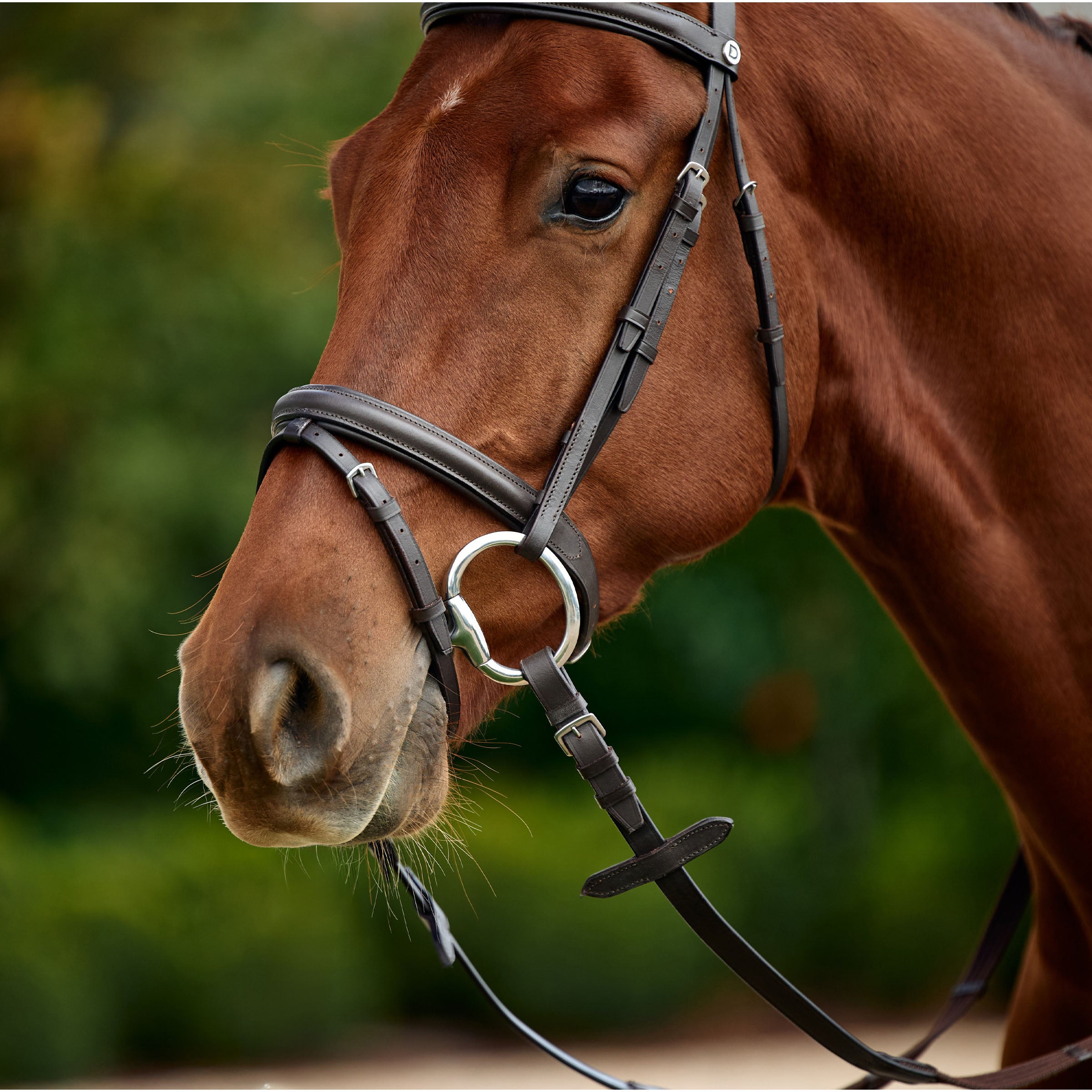 image_addtnl_3 - Brown - Dublin Padded Flash Bridle - .jpg
